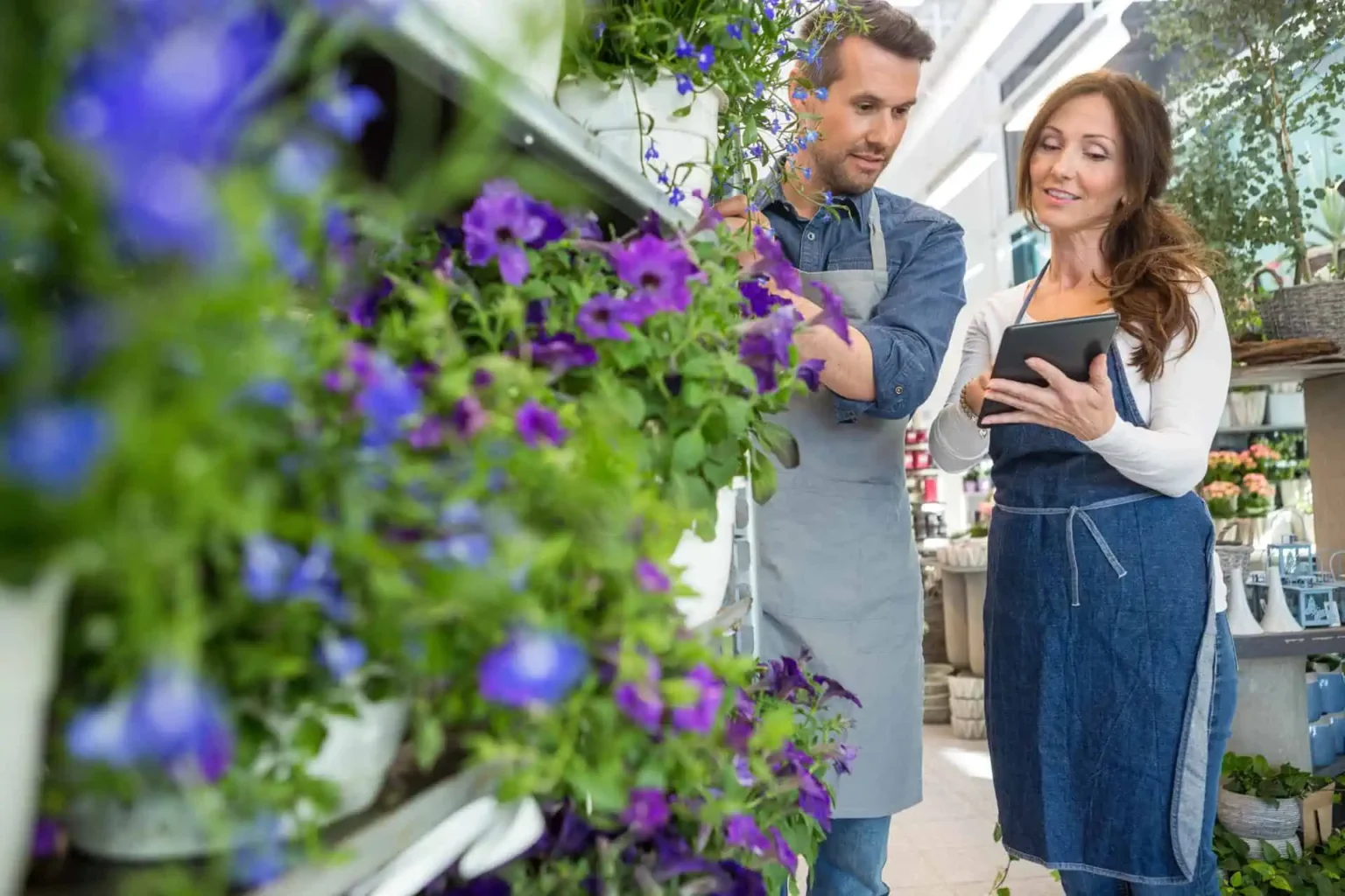 Small Business Insurance California